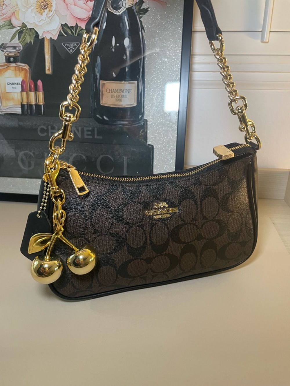 Coach Teri Brown Signature Canvas Shoulder Bag - Picture 3 of 8